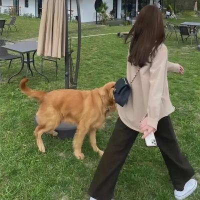 恋爱兵法